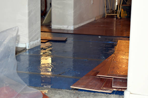 Professional Flood Cleanup technician working in Enterprise, WV